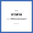 จาวตาล แปลว่า? วิเคราะห์ชื่อ จาวตาล, ชื่อเล่น จาวตาล แปลว่า พืชที่เกิดงอกอยู่ภายในลูกตาล