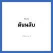 ต้นพลับ แปลว่า? วิเคราะห์ชื่อ ต้นพลับ, ชื่อเล่น ต้นพลับ